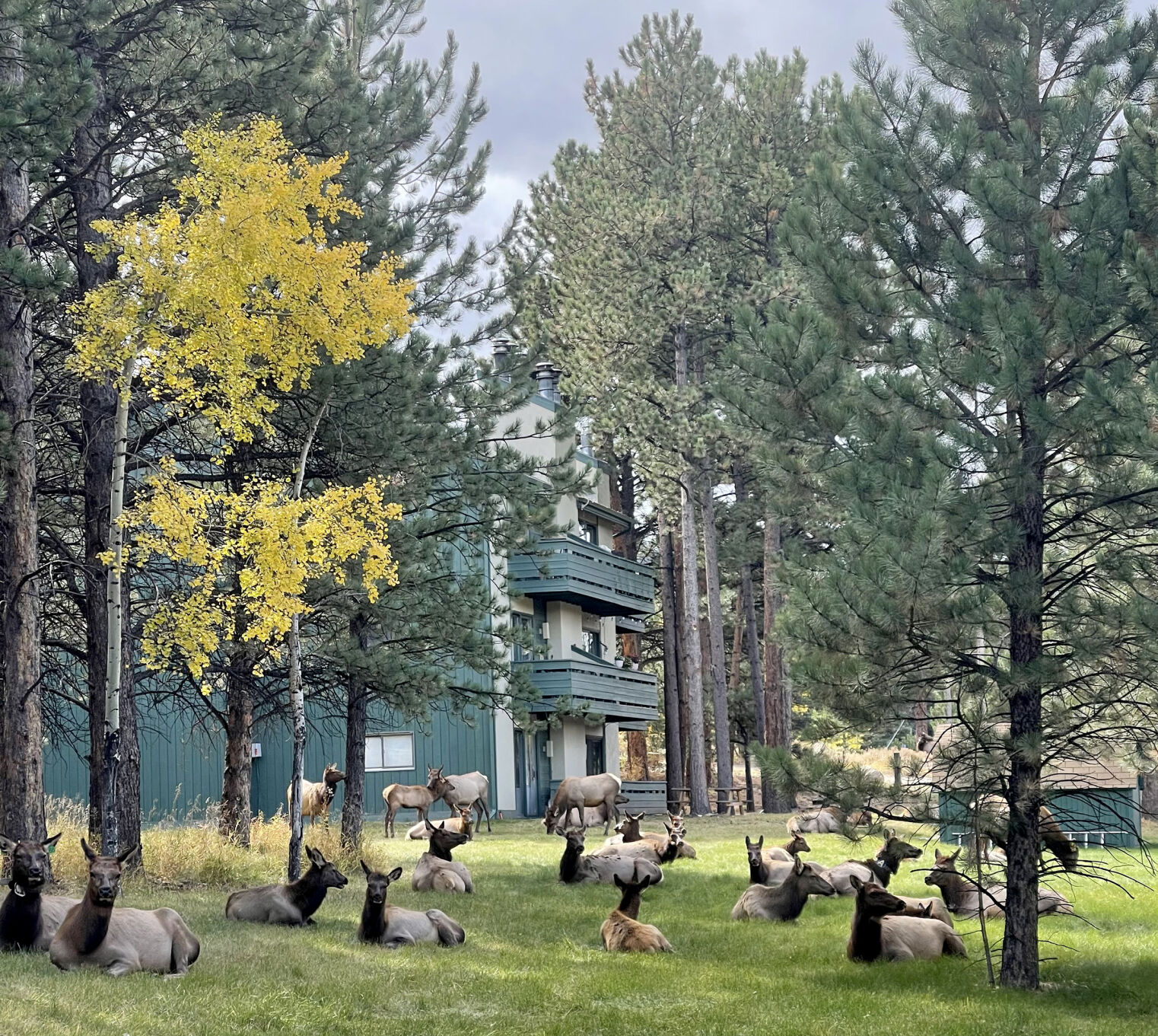 Leaf-peeping and spooky vibes make Estes Park, Colo., a dynamic fall destination